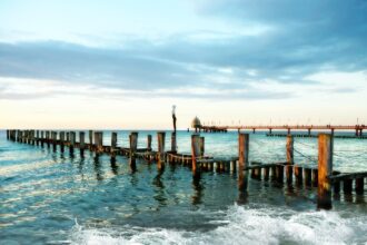 zingst, darß, baltic sea, beach, nature, sea, coast, mood, zingst, zingst, zingst, zingst, zingst, beach